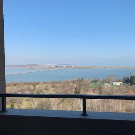 The View *